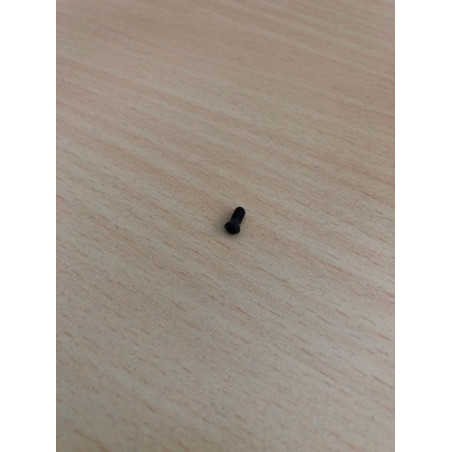 SPEZ.SCHRAUBE f.WENDESCHEIDPLATTEN